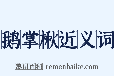 鹅掌楸近义词是什么意思的图片